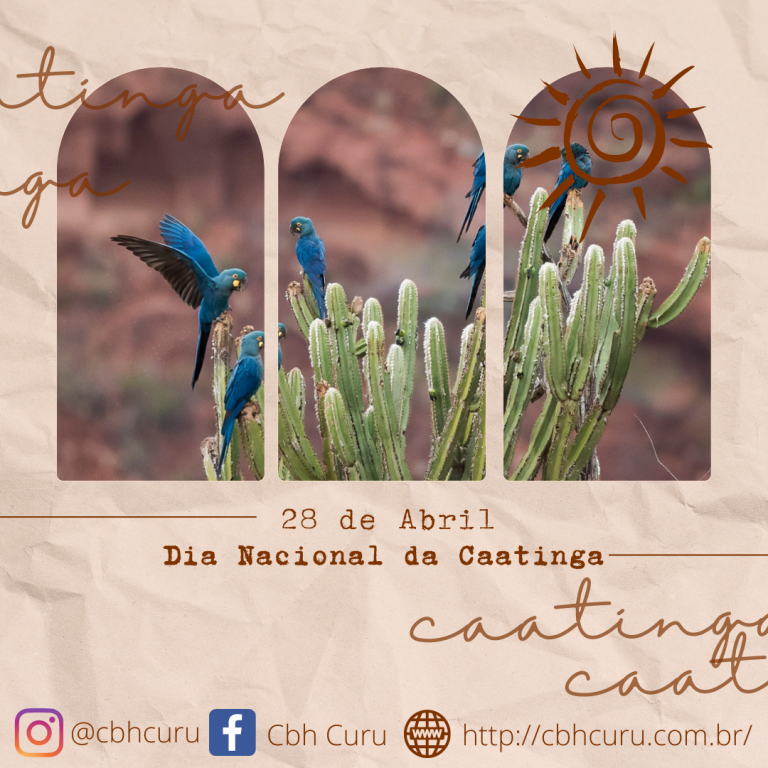 28 de Abril – Dia Nacional da Caatinga