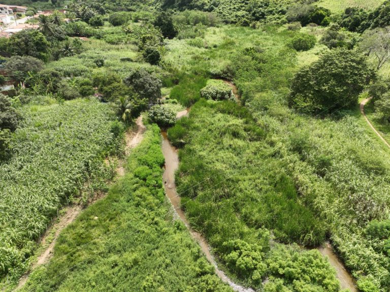 Comitê do Curu e Cogerh discutem ação de limpeza do Rio Curu com usuários de trecho perenizado
